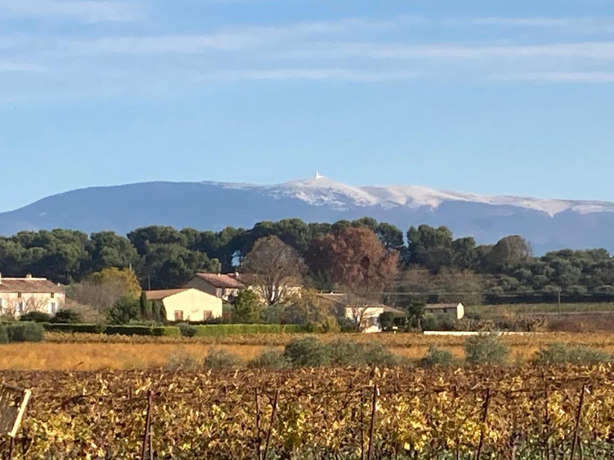 La Maizon Bed and Breakfast Mazan Εξωτερικό φωτογραφία